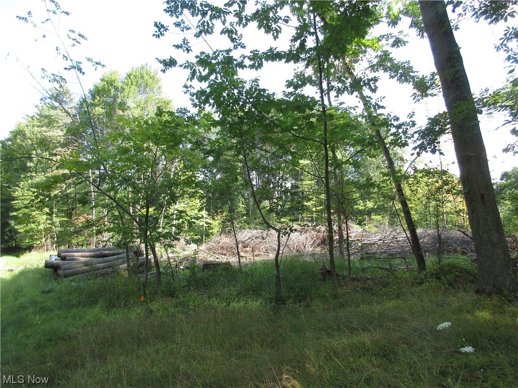 Property has been cut and is in need of cleanup. Could be a great location. Quiet area, just off the beaten path. City sewer is available. (cost is the responsibility of the purchaser) Purchaser could install standard septic if desired.