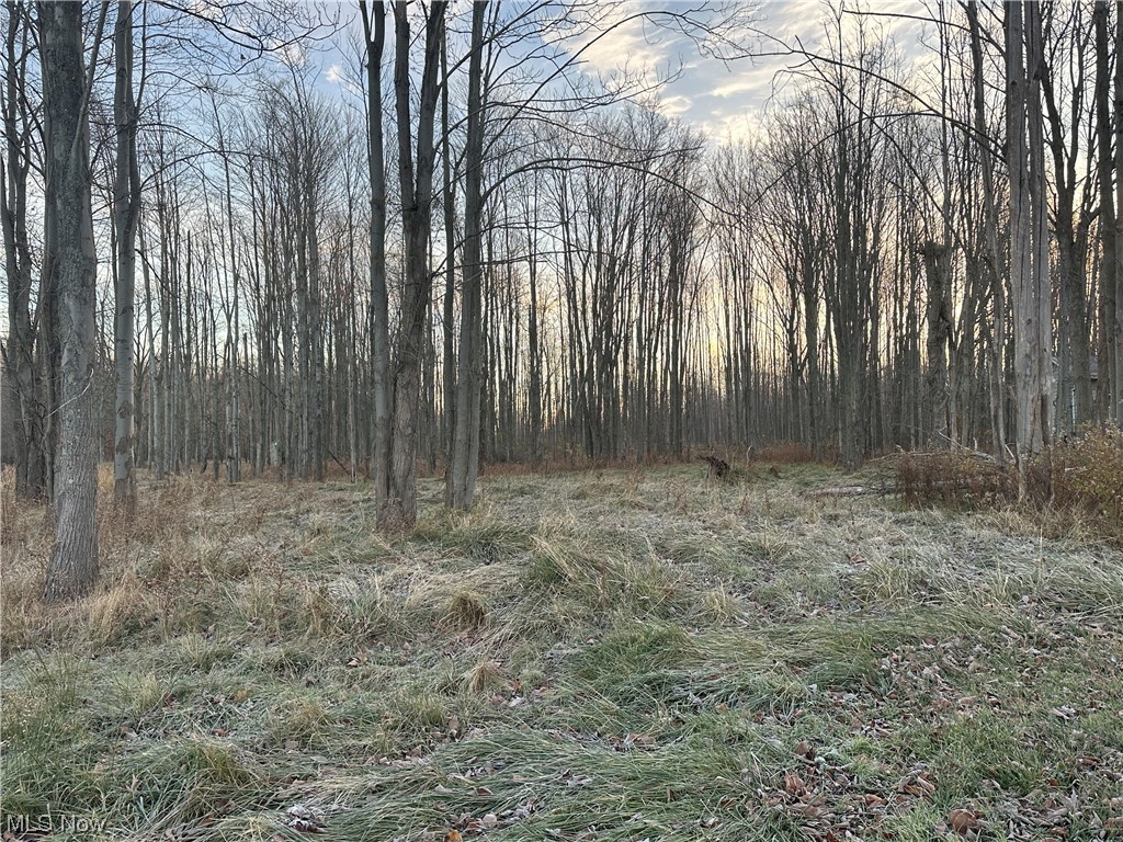 Connecticut Western Reserve - Land