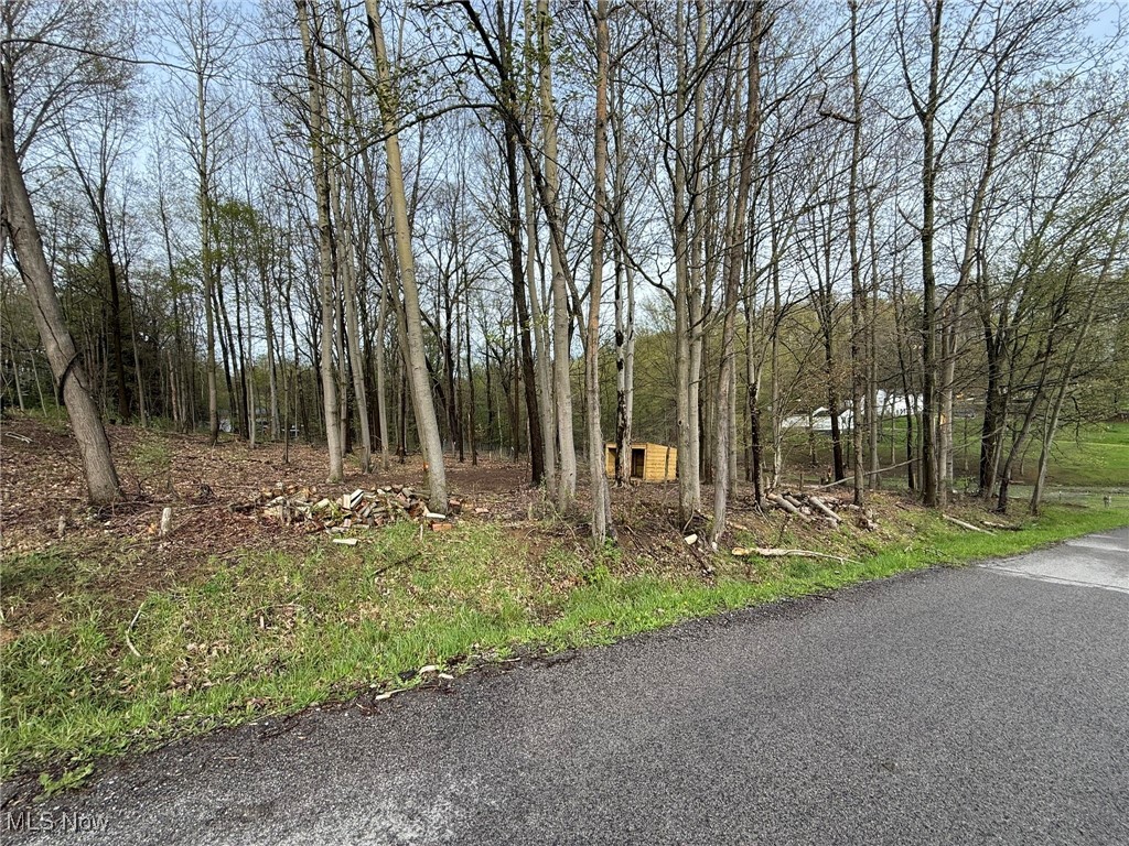 Pleasant Lake Drive, East Sparta, Ohio image 2