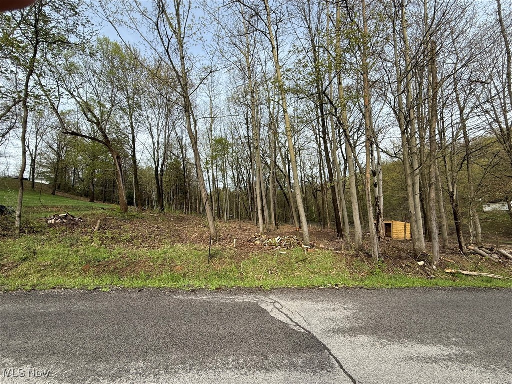 Pleasant Lake Drive, East Sparta, Ohio image 3