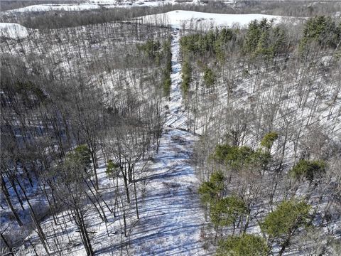 Vacant Land For Sale - Tract 3 Bondi Ridge Road<br/> Woodsfield, OH 43793