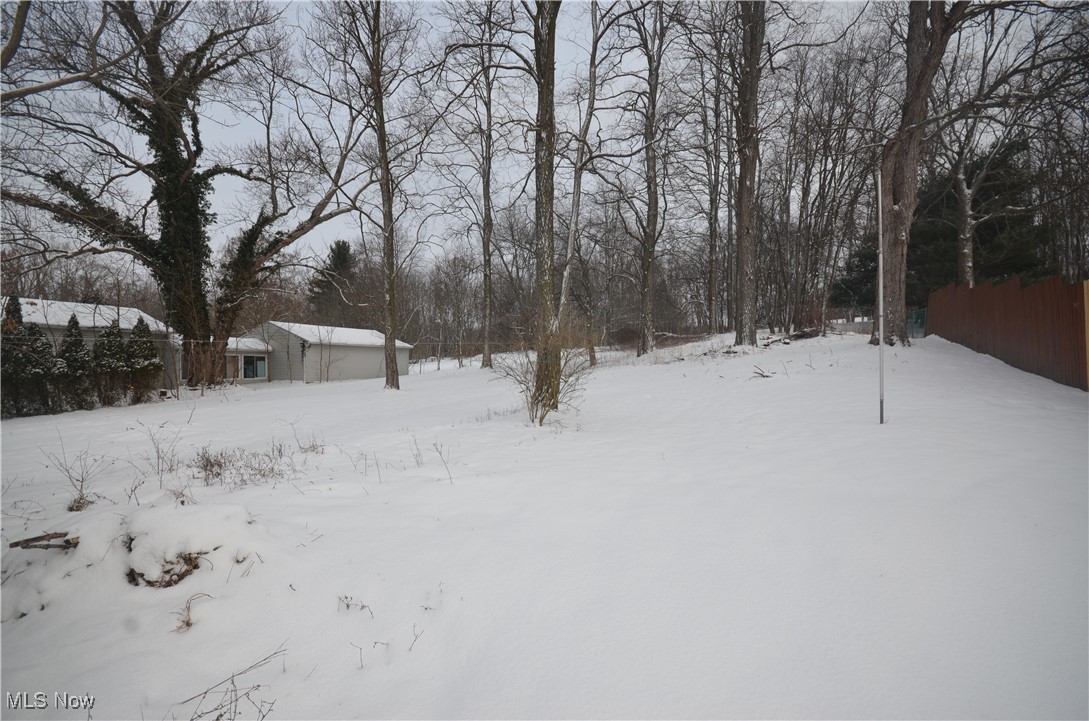 Tallmadge #11 - Residential