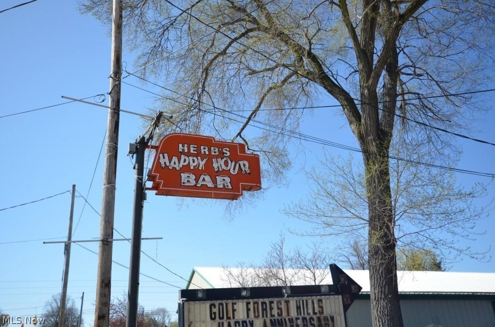 Brace - Commercial Sale