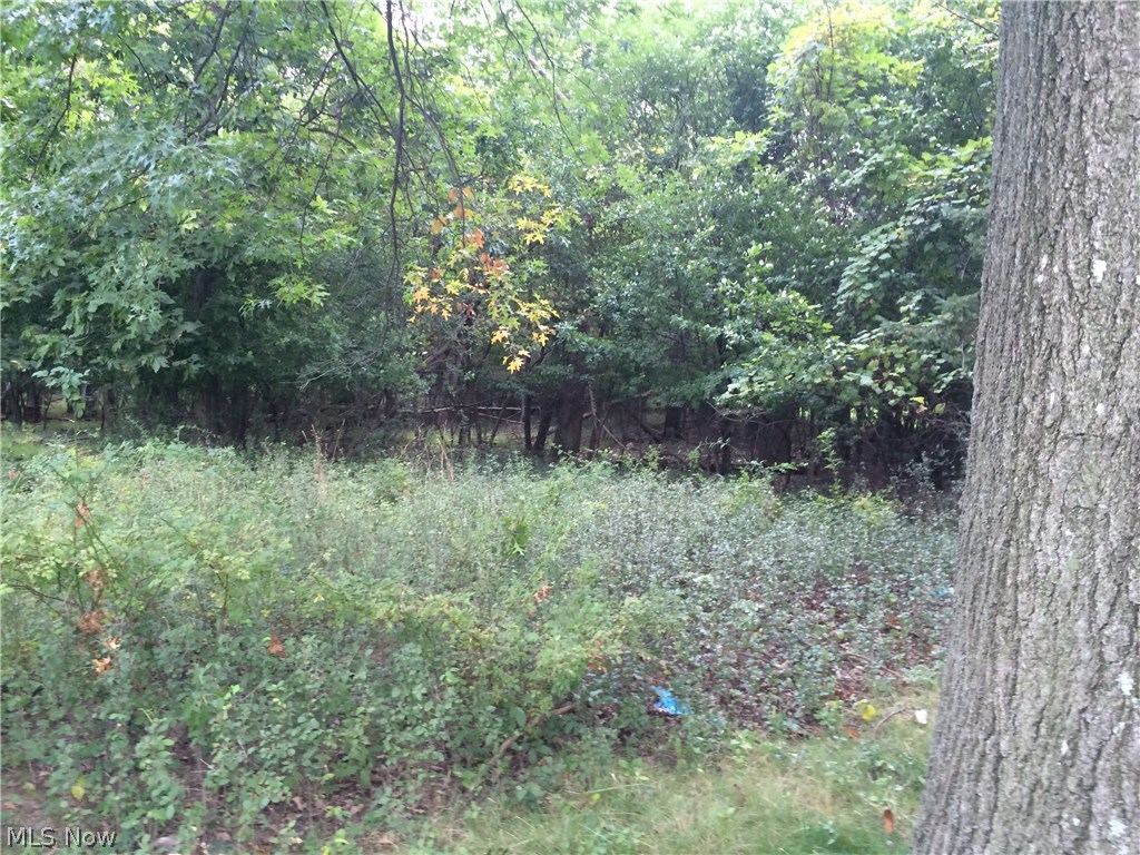 Maple Heights 02 - Residential Lease