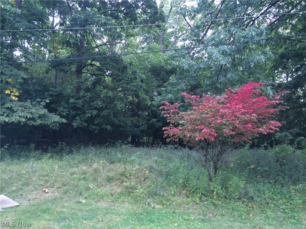 Maple Heights 02 - Residential Lease