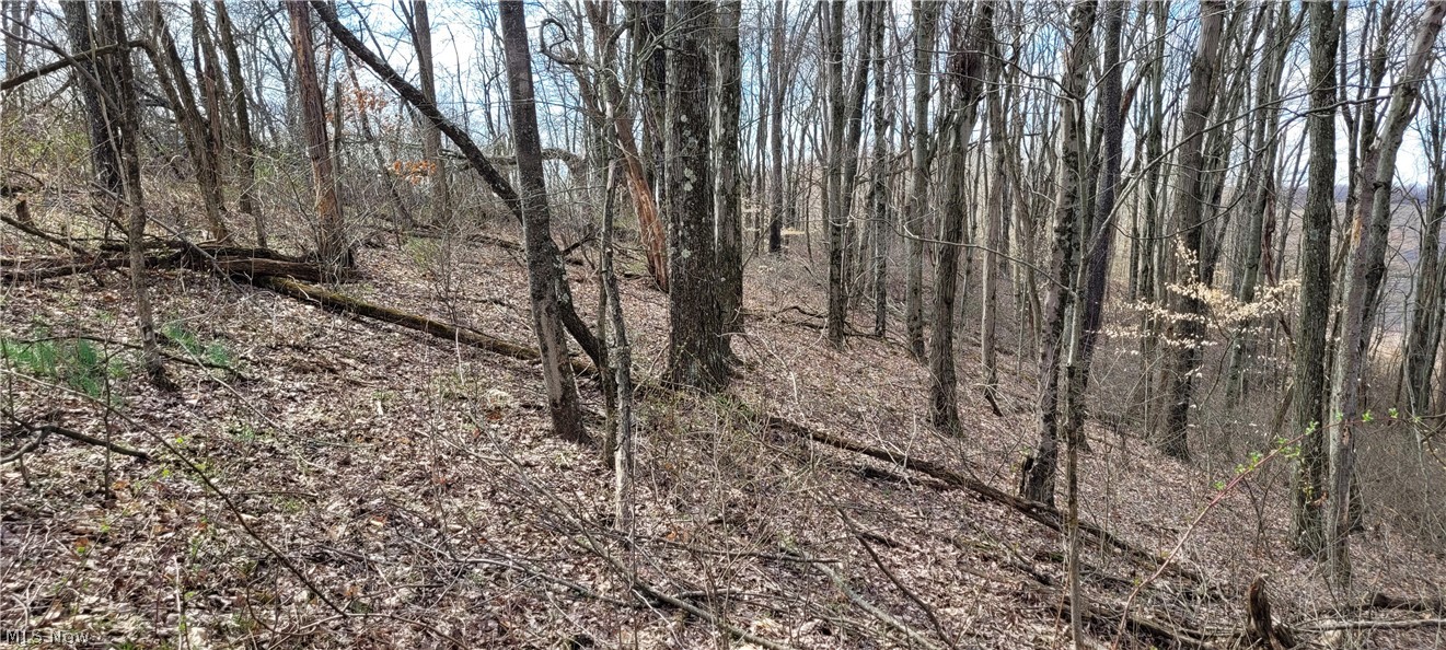 Township/Linton - Land