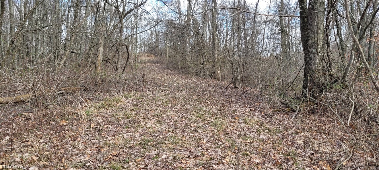 Township/Linton - Land