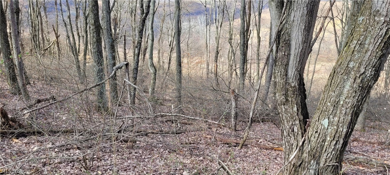 Township/Linton - Land