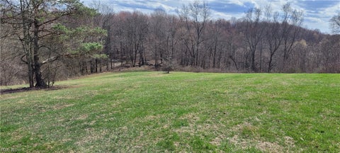 Vacant Land For Sale - 58547 Township Road 109<br/> Kimbolton, OH 43749