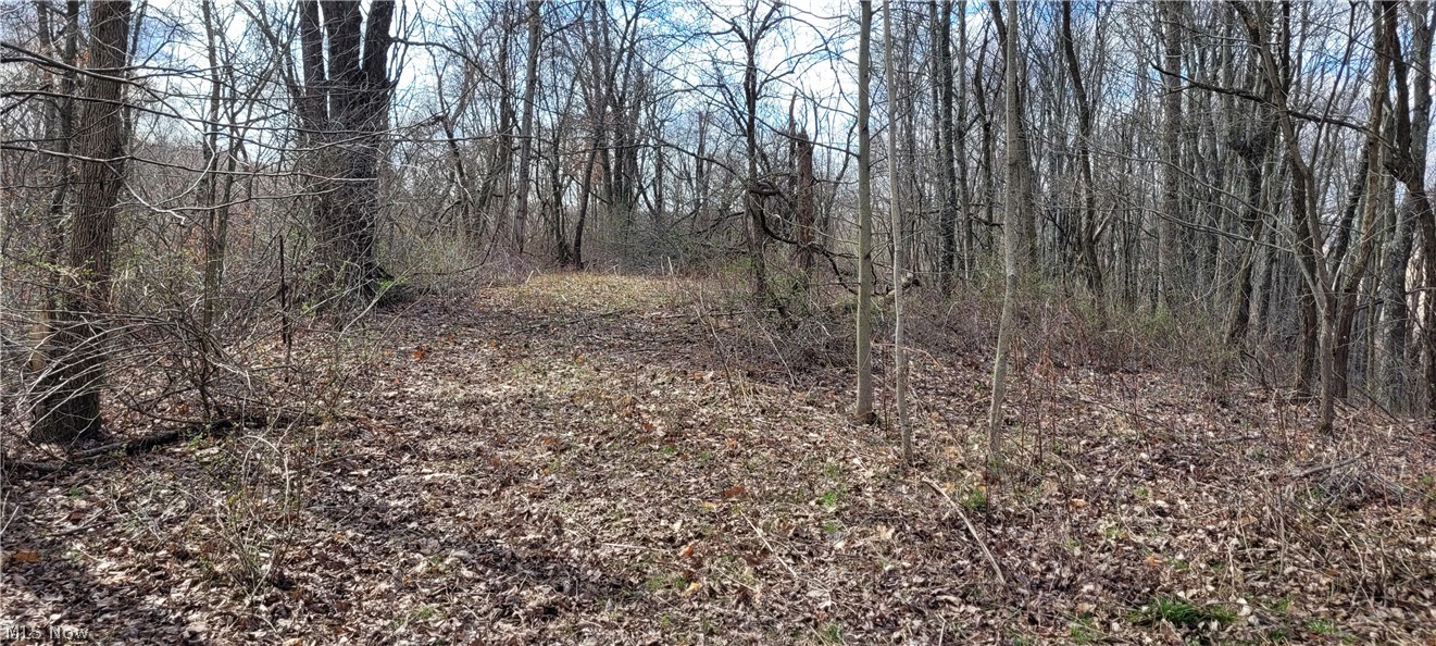 Township/Linton - Land