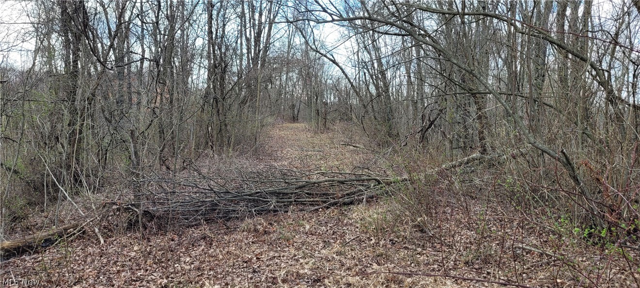 Township/Linton - Land