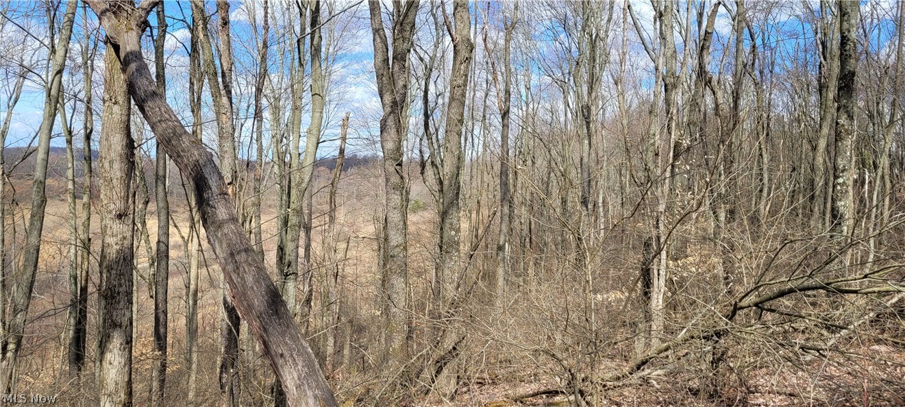 Township/Linton - Land