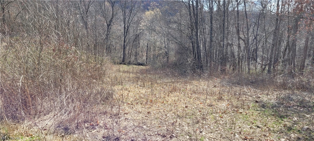 Township/Linton - Land