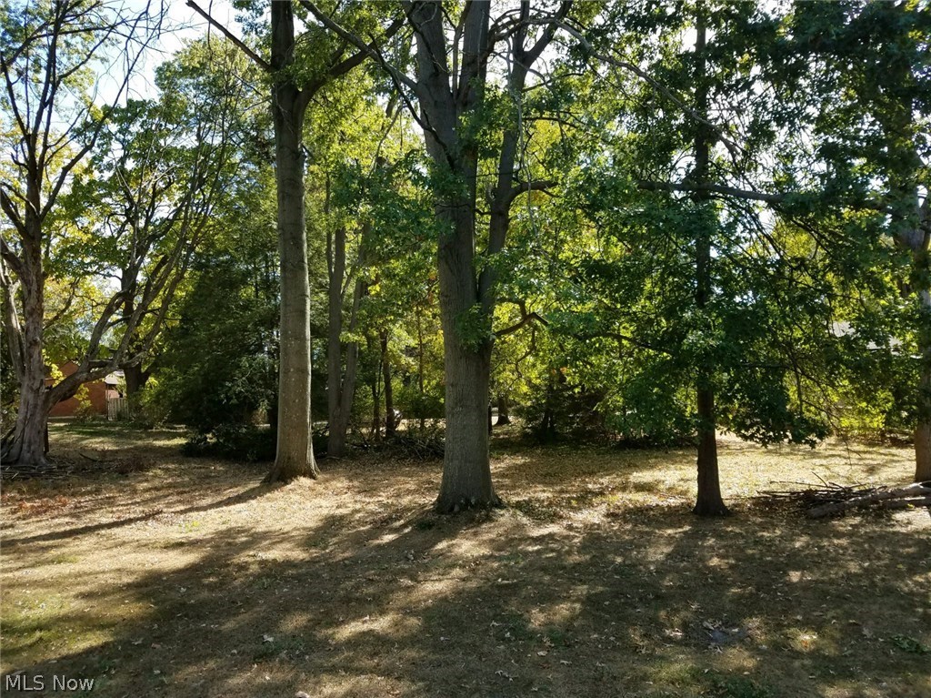 Middleburgh Sec 18 - Land