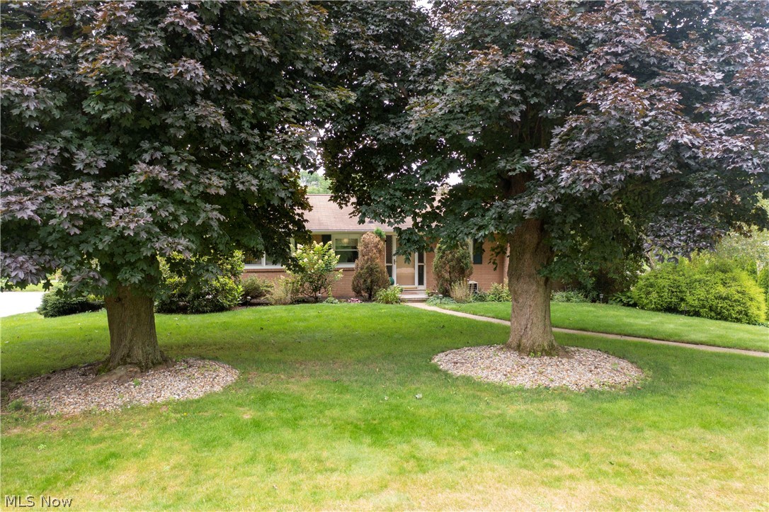 Hyacinth Park - Residential