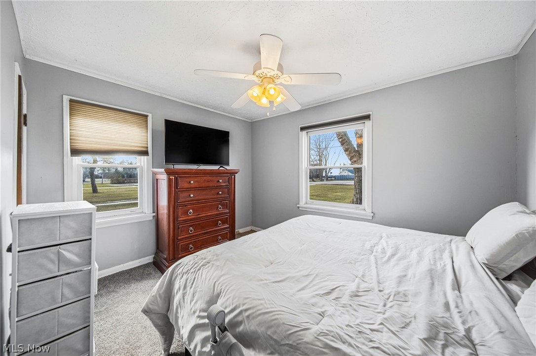 Willowick Park Allotment - Residential