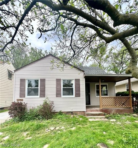 Single Family Residence in Garfield Heights OH 12703 Park Knoll Drive.jpg