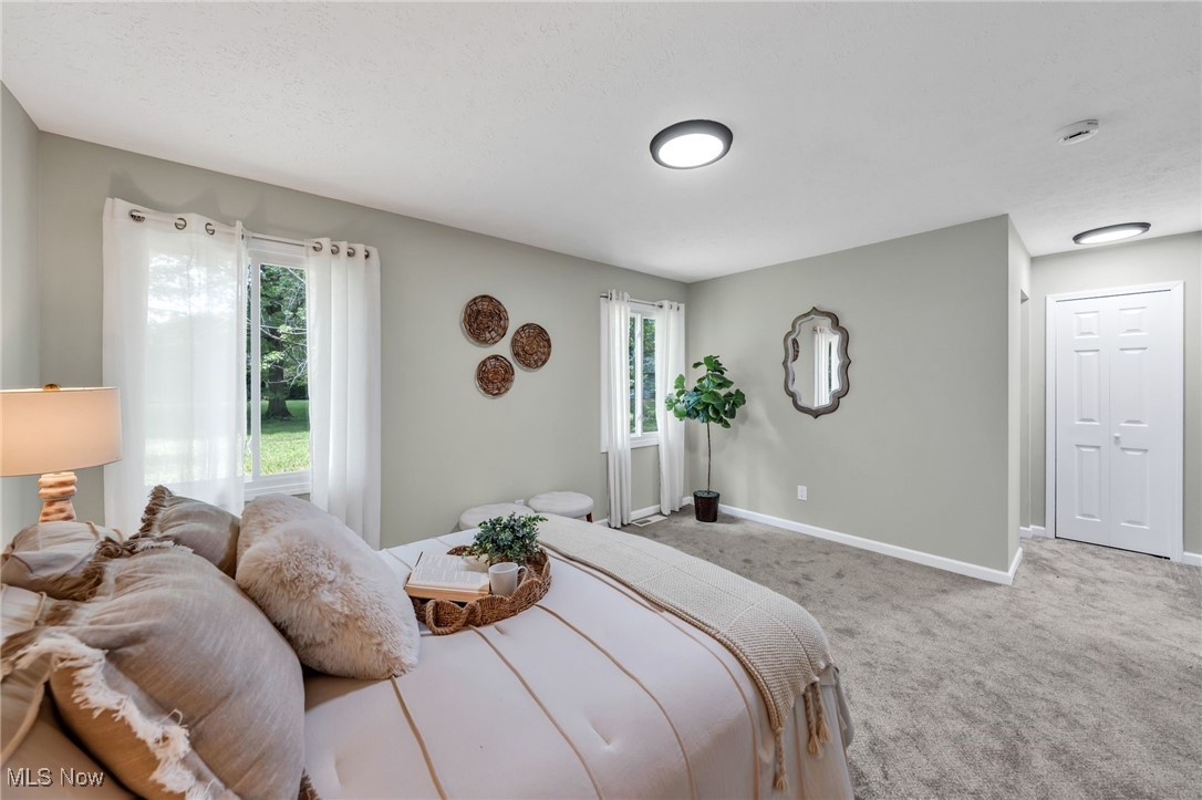4950 Meadow Moss Lane, North Ridgeville, Ohio image 28