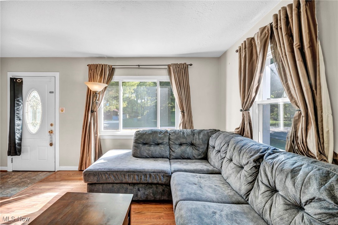 Springfield Lake - Residential