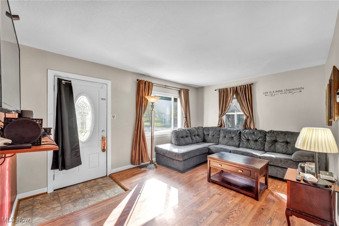 Springfield Lake - Residential