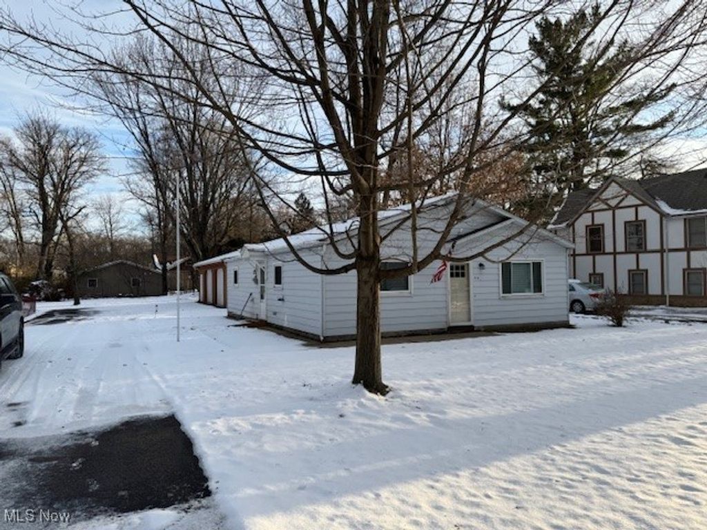 Photo of 54 Palmer Avenue, Painesville, OH 44077 (MLS # 5176378)