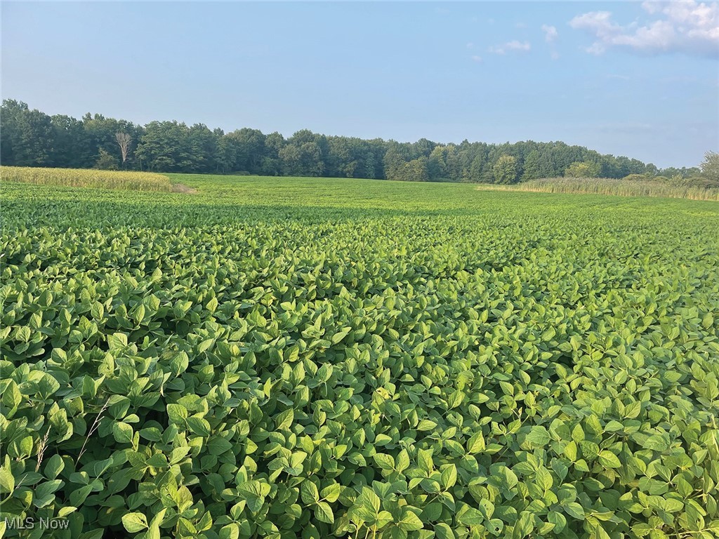 Durst Clagg Road, Warren, Ohio image 6