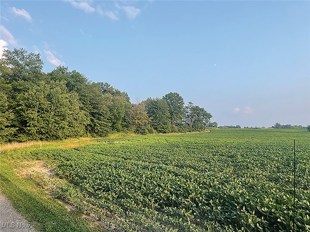 Durst Clagg Road, Warren, Ohio image 8