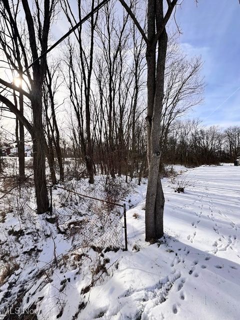 Tiny photo for V/L Hartman Road, Wadsworth, OH 44281 (MLS # 5181446)