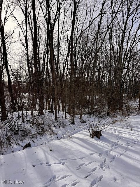 Tiny photo for V/L Hartman Road, Wadsworth, OH 44281 (MLS # 5181446)