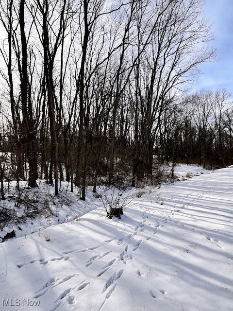 Tiny photo for V/L Hartman Road, Wadsworth, OH 44281 (MLS # 5181446)