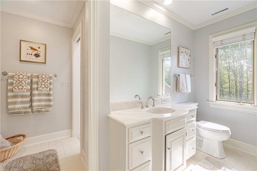 17980 Windy Lakes Circle, Chagrin Falls, Ohio image 36