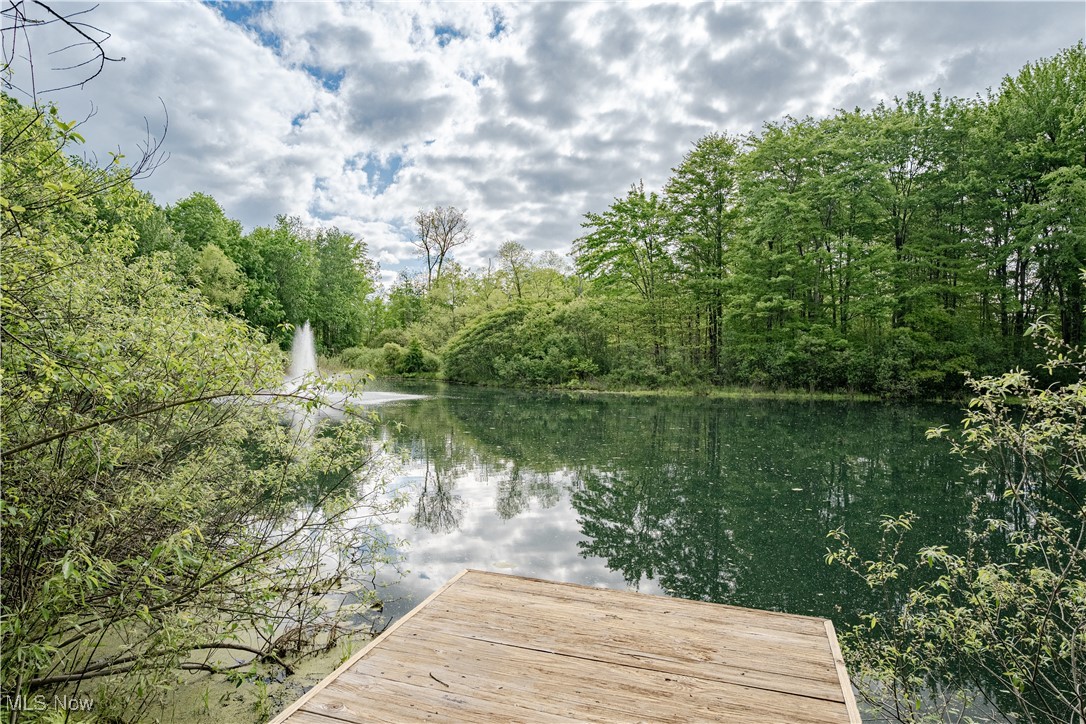 17980 Windy Lakes Circle, Chagrin Falls, Ohio image 47