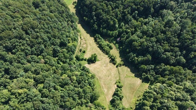 001 Mud Fork Road