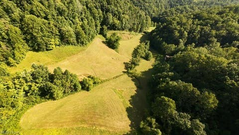 Vacant Land For Sale - 001 Mud Fork Road<br/> Chloe, WV 25235