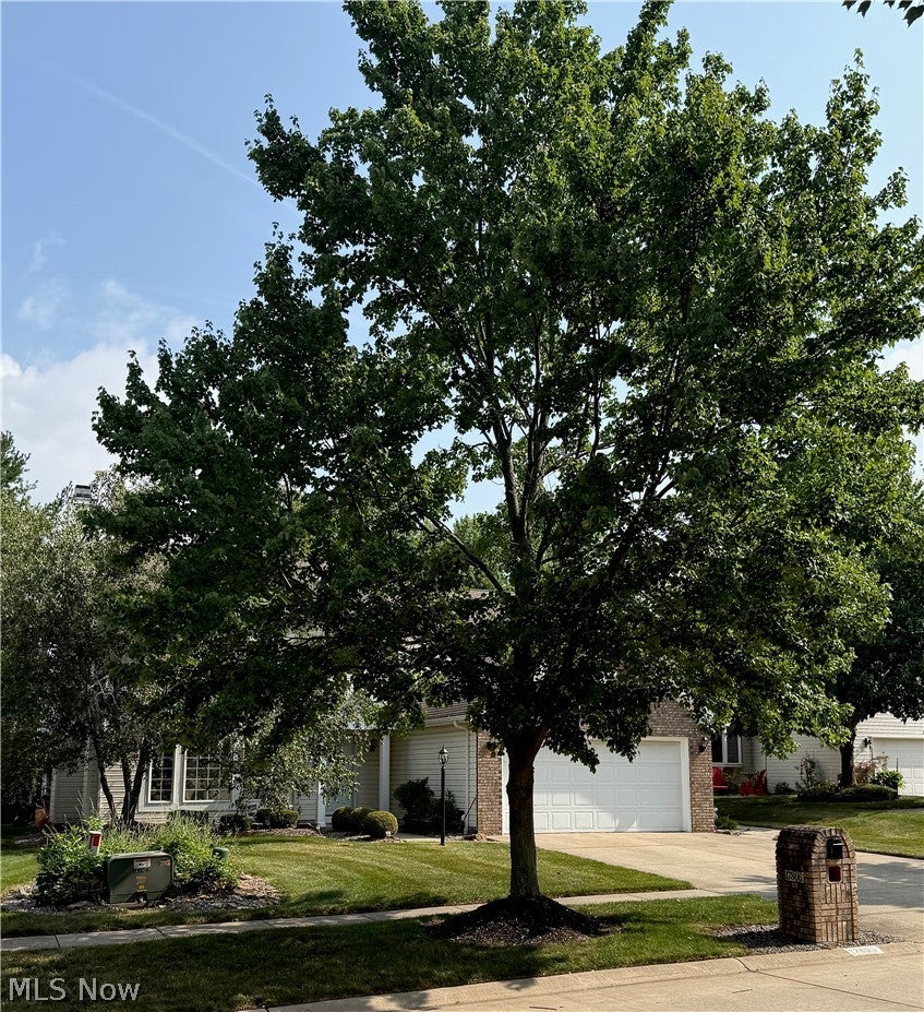 17806 Brandywine Drive