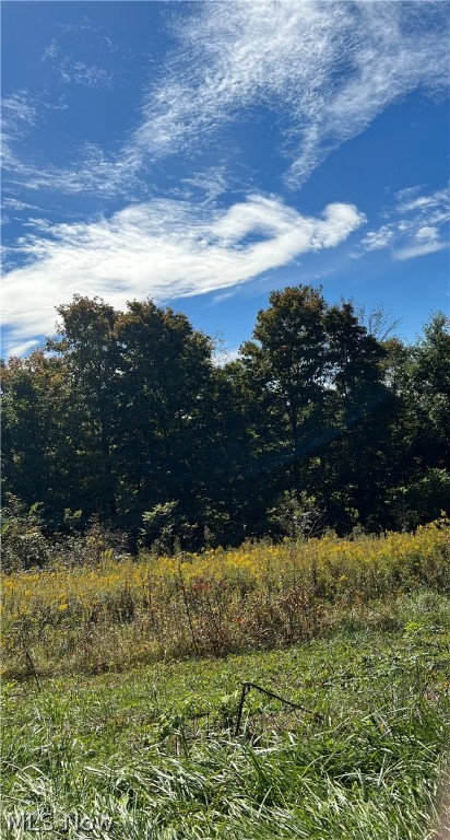 This would be a great hunting area. This area is mostly wooded, could possibly be cleared for construction.