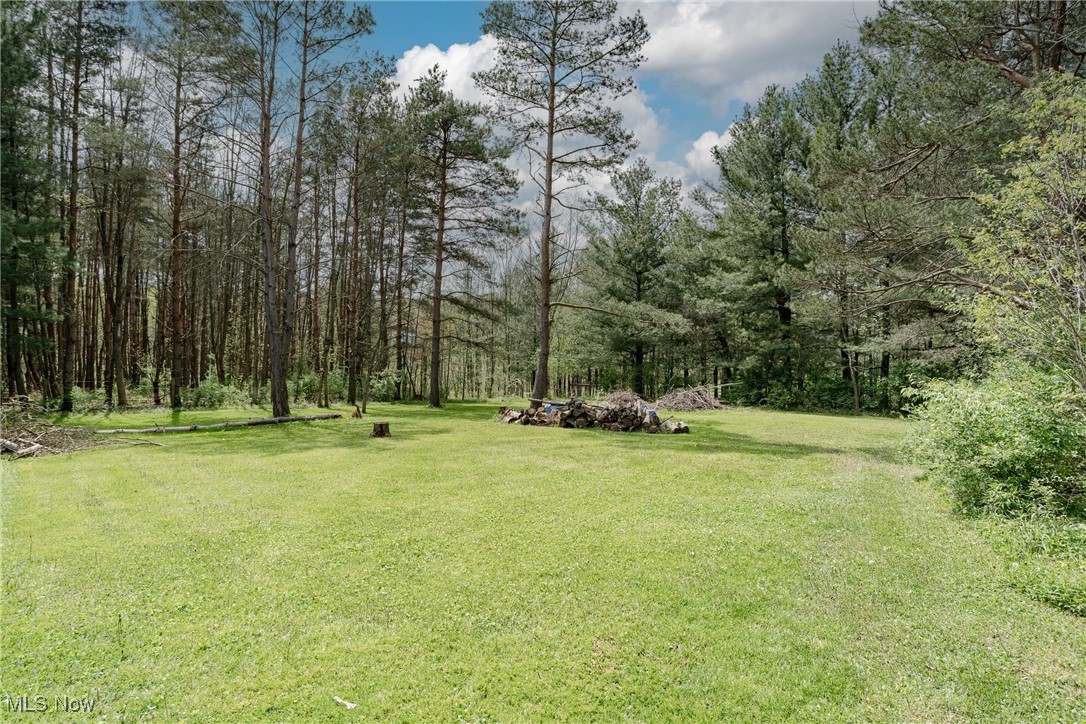 12075 State Route 700, Hiram, Ohio image 37