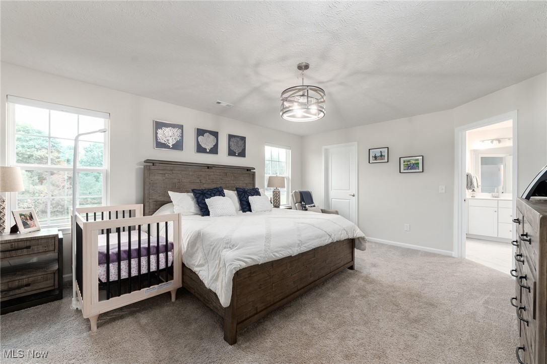 4677 Louis Lane, Kent, Ohio image 18