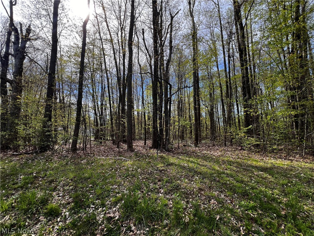 Roaming Rock Shores Sub 1 - Land