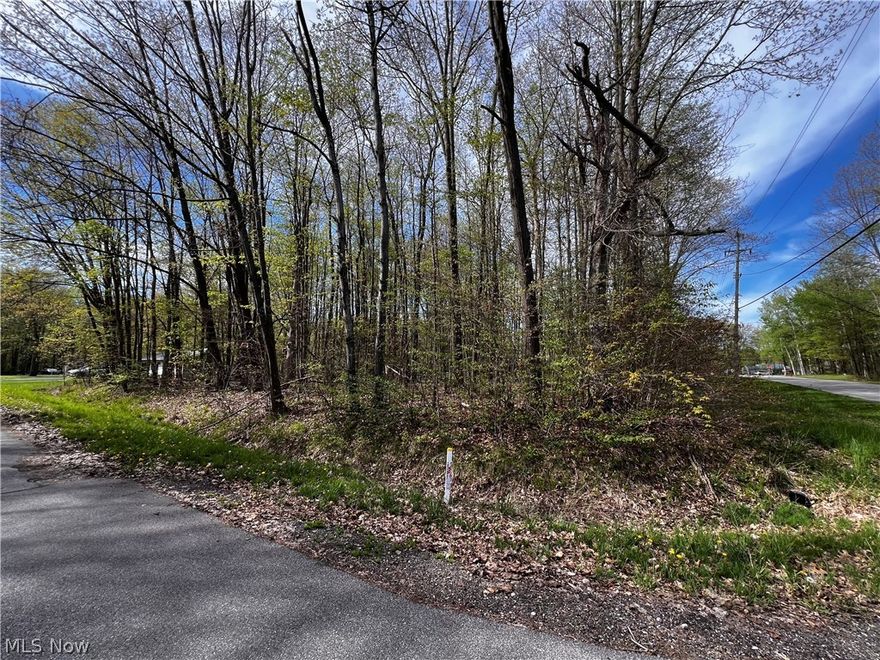 Welcome to Roaming Shores Lake Community offering this great buildable lot with great amenities, Lake access, Lakefront restaurant, clubhouse, beach, heated pool, fishing, boating, skiing, tennis courts, picnic area to all members. Minutes away from Marina, as well as Greenway Trail. This private lake community is surrounded by 550-acre man-made Lake with over 20 miles of shoreline. Come check it out!