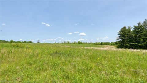 Vacant Land For Sale - 63700 Wintergreen Road<br/> Lore City, OH 43755