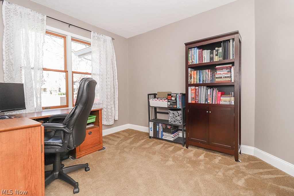 Butternut - Residential