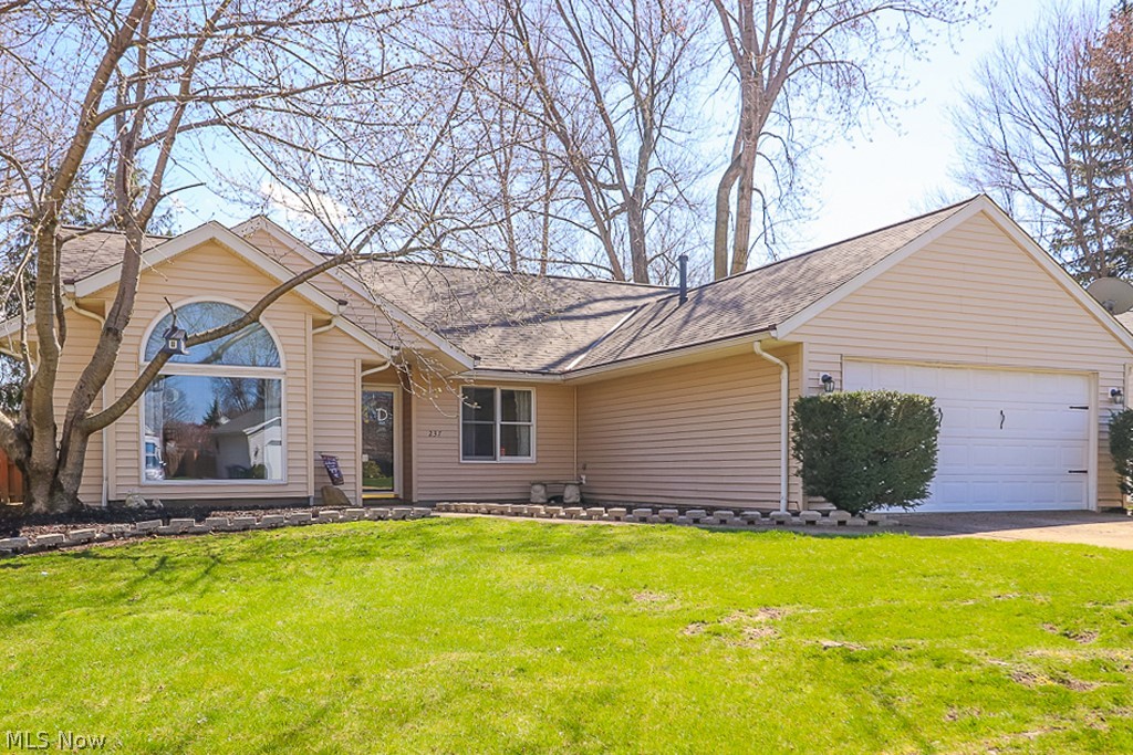 Butternut - Residential