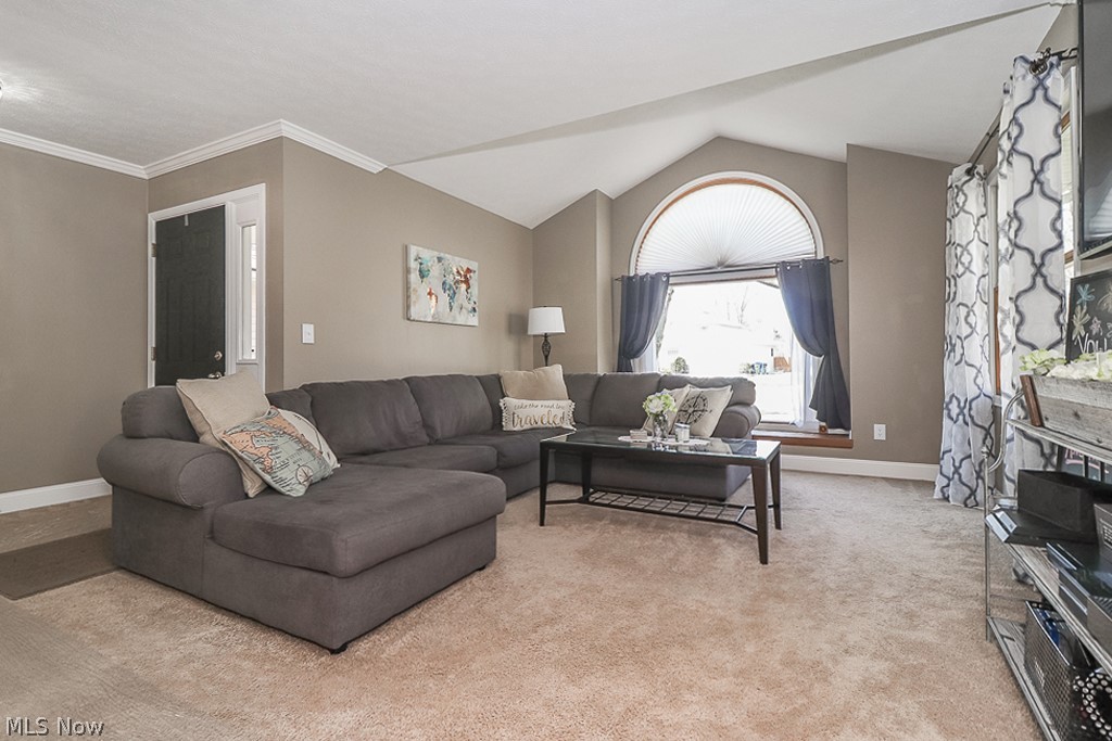 Butternut - Residential