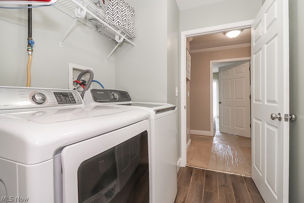 Butternut - Residential