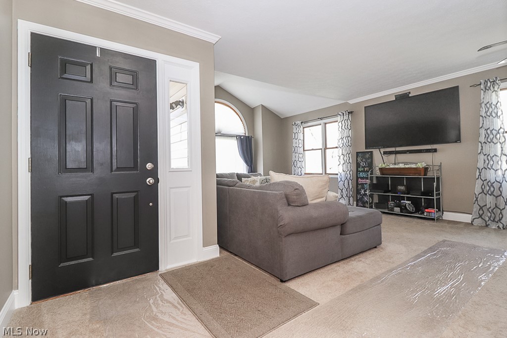 Butternut - Residential