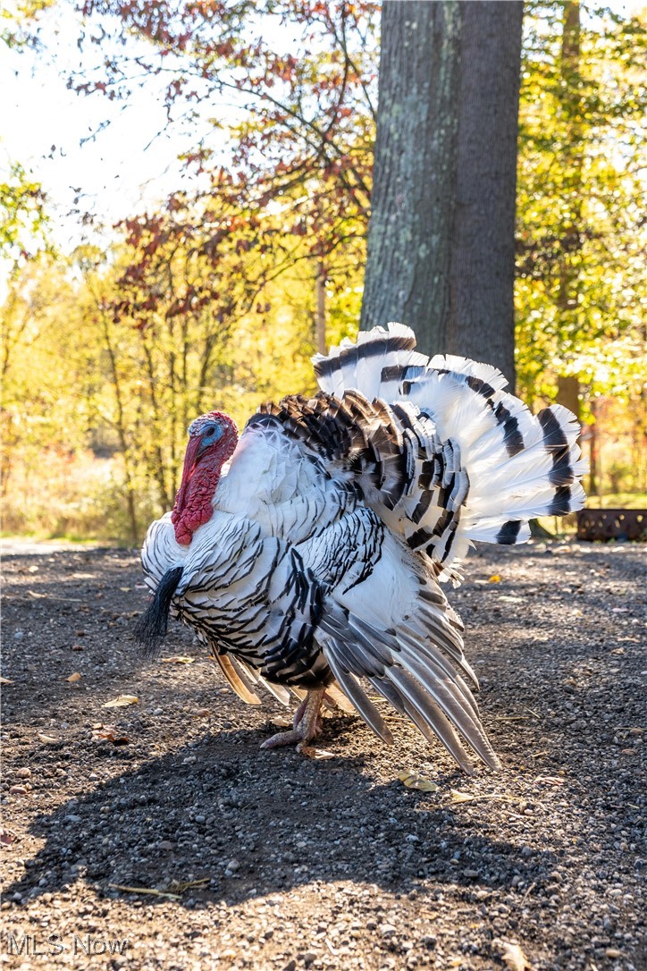 Ne Div - Residential