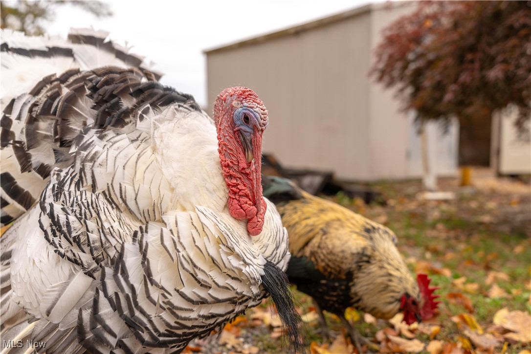 Ne Div - Residential