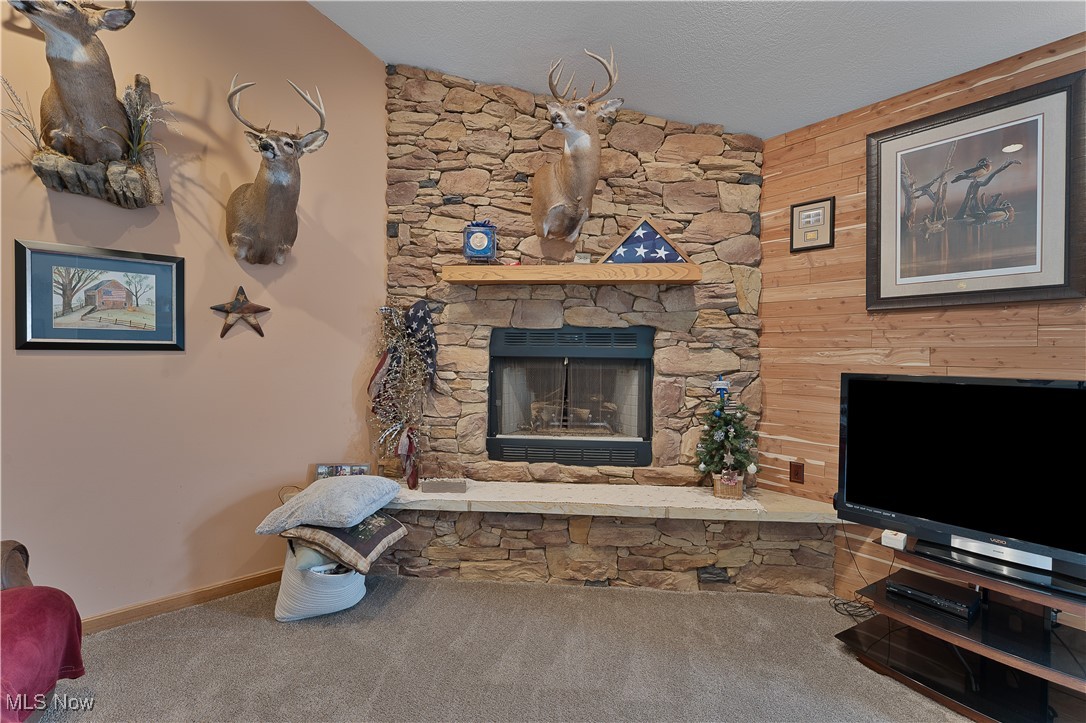6225 Bedell Road, Berlin Center, Ohio image 13