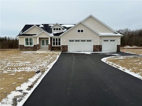 6916 S Raccoon Road Canfield OH 44406